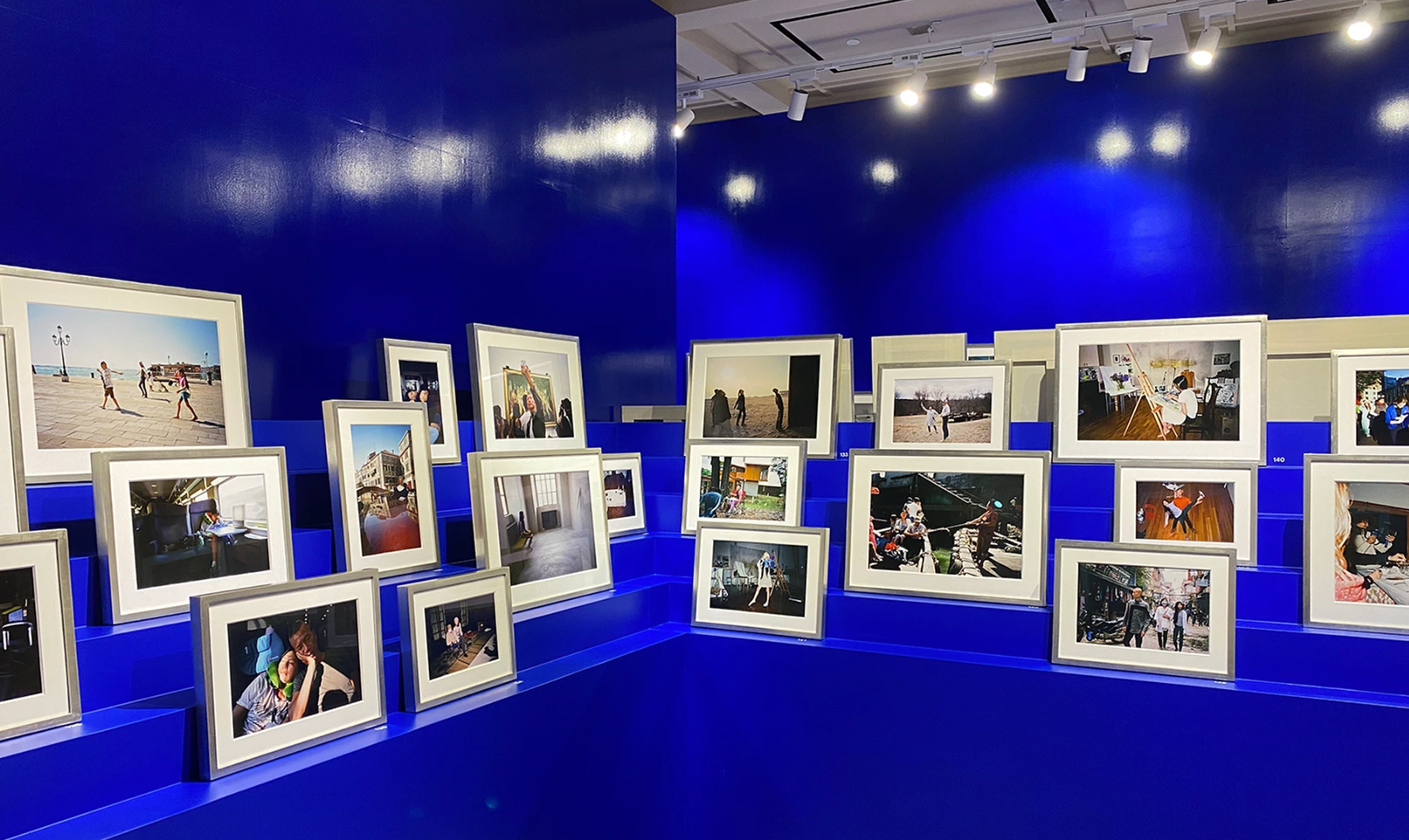 Rooster, Tiger, Sheep by Snake Exhibition