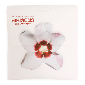 Special Special <br> Edition  No. 24 <br> Hibiscus