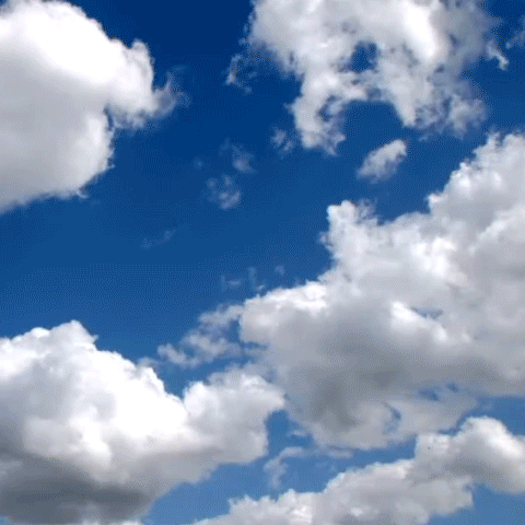 A Small Pond Under the Blue Sky has landed!