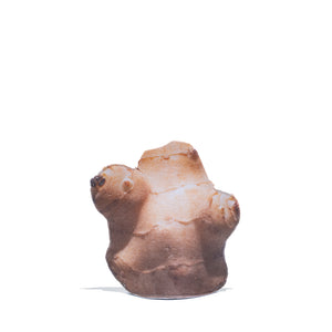 Sunchoke Tubers Planter